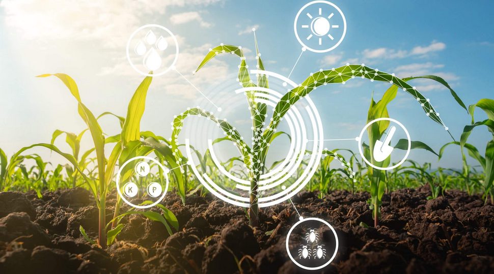 Innovation in der Agrarwirtschaft: Drei unglaubliche Neuerungen
